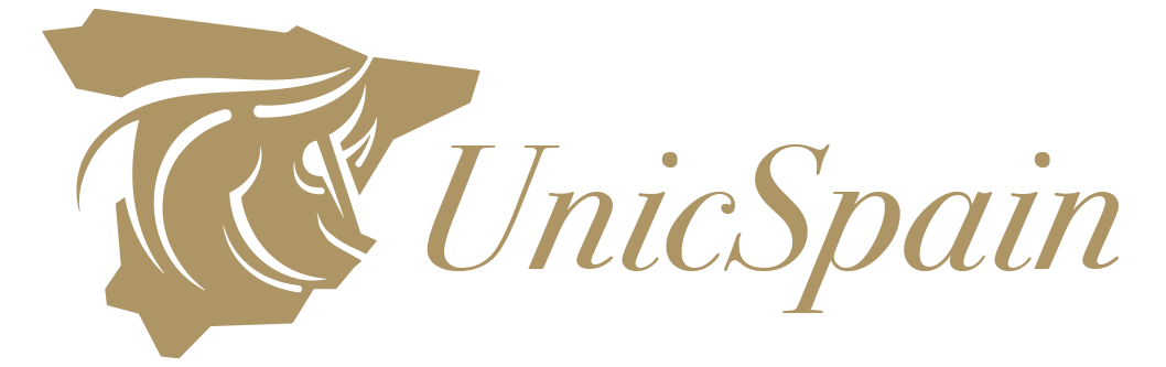 Твой путь в Испанию начинается здесь logo